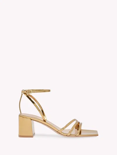 GIANVITO ROSSI BRIELLE