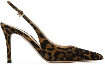 Gianvito Rossi Brown Camoscio Heels In Allp