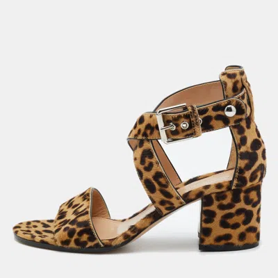 Pre-owned Gianvito Rossi Brown Leopard Print Calf Hair Ankle Strap Sandals Size 37