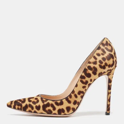 Pre-owned Gianvito Rossi Brown Leopard Print Calf Hair Ponlepa Pumps Size 36