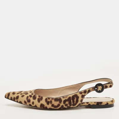 Pre-owned Gianvito Rossi Brown Leopard Print Calfhair Anna Slingback Flats Size 36