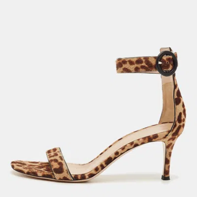 Pre-owned Gianvito Rossi Brown/beige Leopard Print Calf Hair Portofino Ankle Strap Sandals Size 36.5