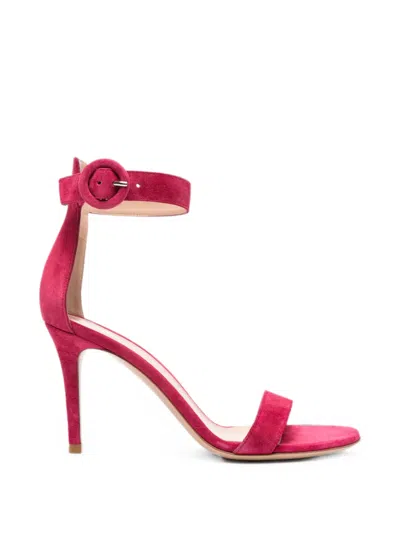 Gianvito Rossi Buckle-fastening Sandals In Pink