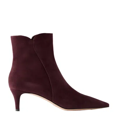 Gianvito Rossi Burgundy Pointed-toe Ankle Boots In Black