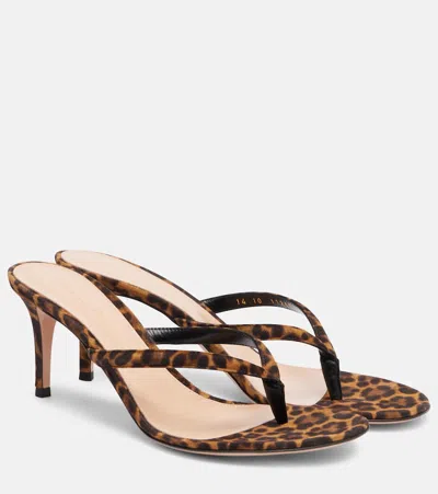Gianvito Rossi Calypso 70 Suede Thong Sandals