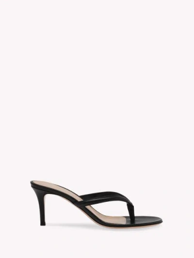 Gianvito Rossi Calypso Sandals In Black