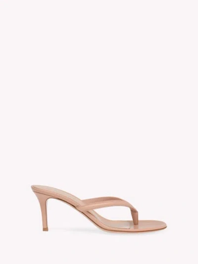 Gianvito Rossi Calypso Sandals In Neutral