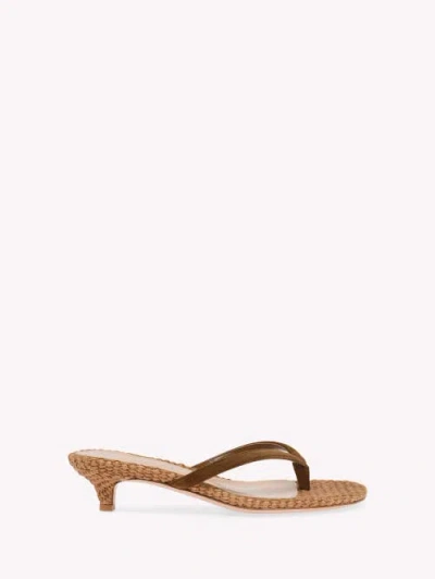 Gianvito Rossi Calypso Thong In Brown