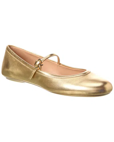 Gianvito Rossi Carla Flat Shoes In Yellow