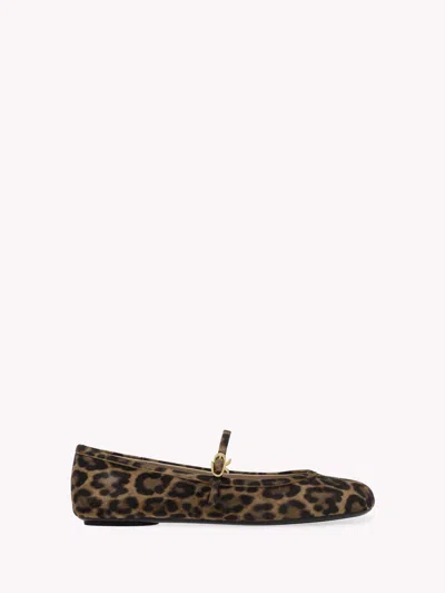 Gianvito Rossi Carla In Leopard Print