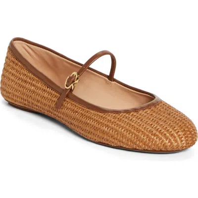 Gianvito Rossi Carla Leather-trimmed Raffia Mary Jane Ballet Flats In Cuoio