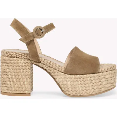 Gianvito Rossi Beige Carol Pumps In Brown