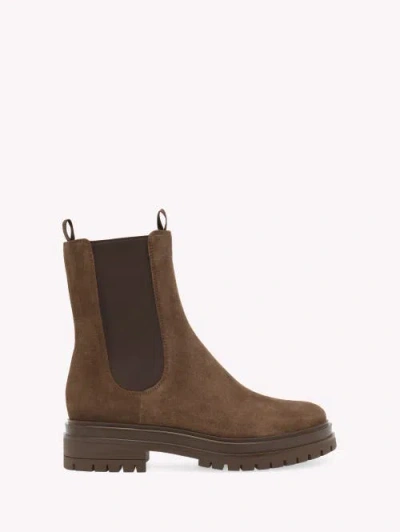 Gianvito Rossi Chester Suede Chelsea Boots In Brown