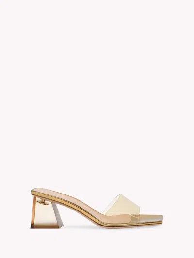 Gianvito Rossi Transparent Block-heel Mule Sandals In Gold