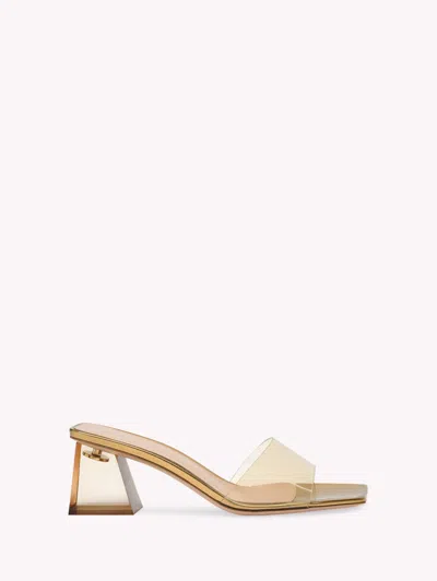 Gianvito Rossi Transparent Block-heel Mule Sandals In Pink