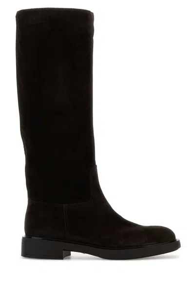 Gianvito Rossi Dark Brown Suede Ascott Boots