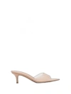 Gianvito Rossi Women Elle Pumps In Pink