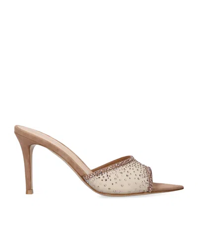 Gianvito Rossi Embellished Rania Mules 85 In Pink