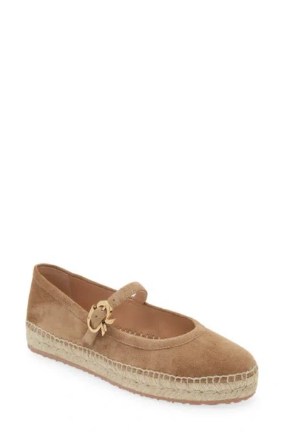 Gianvito Rossi Suede Mary Jane Ballerina Espadrilles In Brown