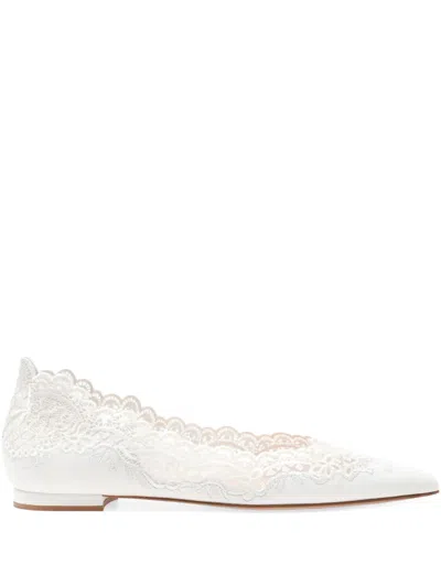 Gianvito Rossi Evie Ballerina Shoes In Weiss