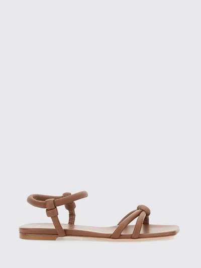 Gianvito Rossi Flat Sandal Woman  In Brown