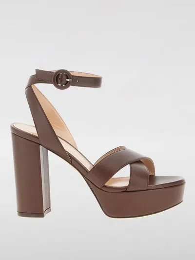 Gianvito Rossi Sandali Bassi  Donna Colore Marrone