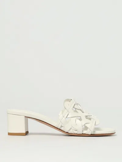 Gianvito Rossi Flat Sandals  Woman Color White