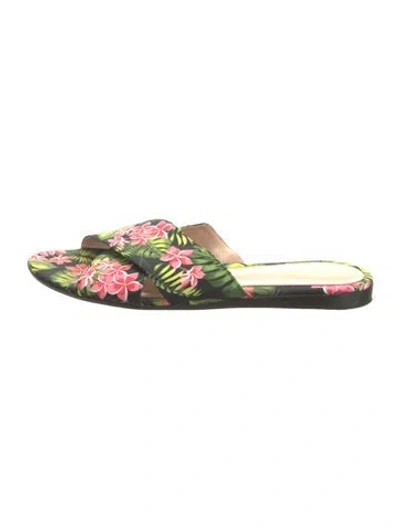Pre-owned Gianvito Rossi Floral Print Slides In Black