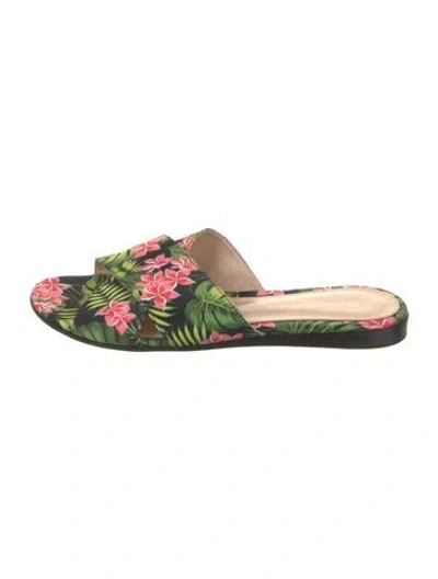 Pre-owned Gianvito Rossi Floral Print Slides In Black