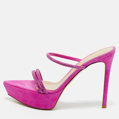Pre-owned Gianvito Rossi Fuchsia Suede Crystal Embellished Cannes Sandals Size 38 In Pink