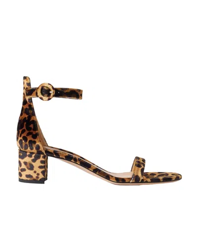 Gianvito Rossi Gaeta 45 Leopard-print Velvet Sandals In Animal Print
