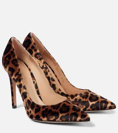 Gianvito Rossi Leopard Velvet Stiletto Pumps In Multicoloured