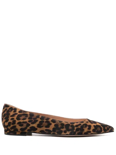 GIANVITO ROSSI GIANVITO BALLET FLATS
