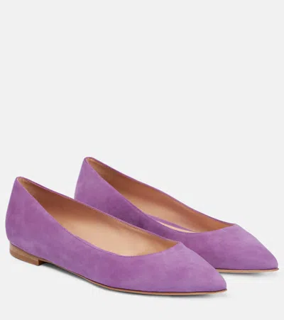 Gianvito Rossi Poined-toe Flat Ballerina Shoes In Violett