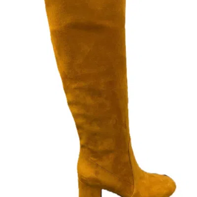 Gianvito Rossi Glen 60mm Calf Length Boots In Yellow
