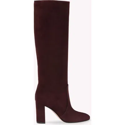 Gianvito Rossi Glen 45 Suede Knee-high Boots In Multi