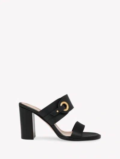 Gianvito Rossi Granada Mule In Black