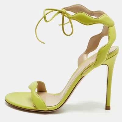 Pre-owned Gianvito Rossi Green Leather Wavy Ankle Tie Sandals Size 37