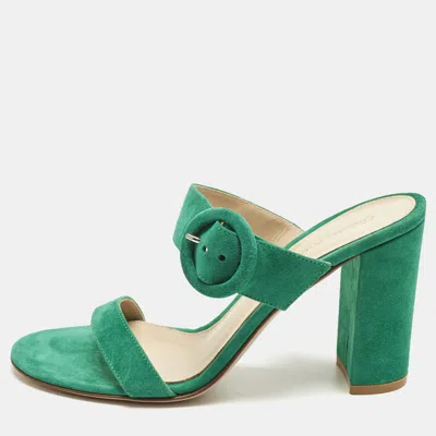 Pre-owned Gianvito Rossi Green Suede Buckle Slide Sandals Size 37
