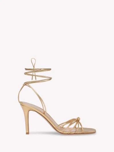 GIANVITO ROSSI GIANVITO ROSSI GWYNETH 85 SANDAL
