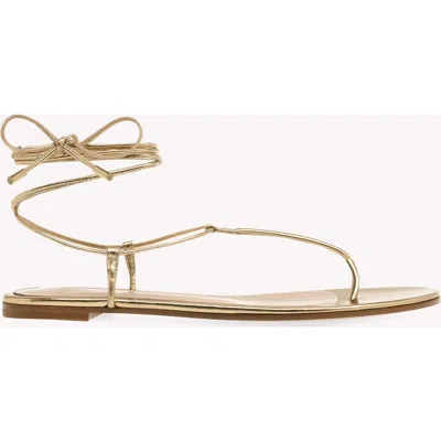 Gianvito Rossi Gwyneth Flat Sandals In Metallic Gold