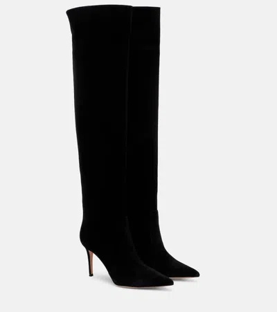 Gianvito Rossi Hansen 85 Suede Knee-high Boots In Black