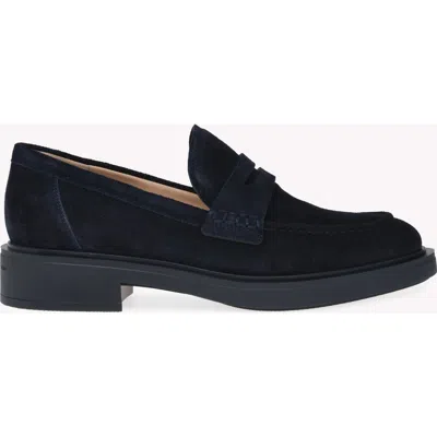 Gianvito Rossi Mokassins  Damen Farbe Blau In Black