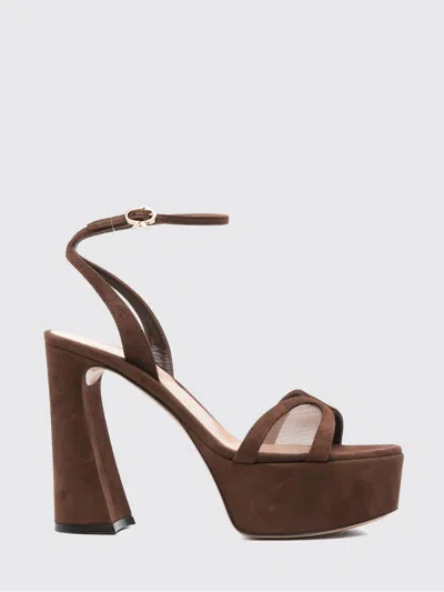 GIANVITO ROSSI HEELED SANDAL GIANVITO ROSSI WOMAN COLOR BROWN,H69585032