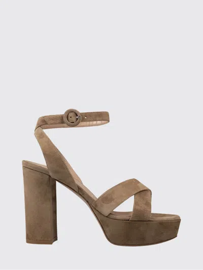 Gianvito Rossi Heeled Sandal  Woman Color Camel In Brown