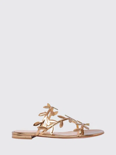 Gianvito Rossi Heeled Sandal Woman Color Gold