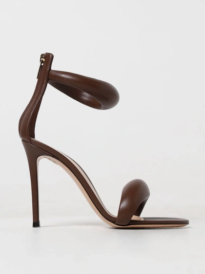 Gianvito Rossi Shoes  Woman Color Brown