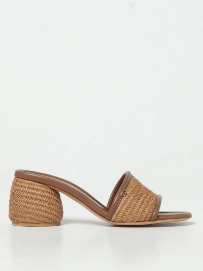 Gianvito Rossi Flat Sandals  Woman Color Brown
