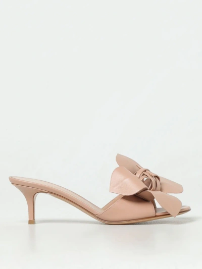 Gianvito Rossi Flat Sandals  Woman Color Dust
