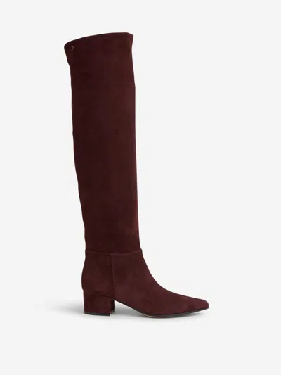 Gianvito Rossi Glen 45 Suede Knee-high Boots In Multi